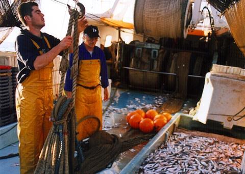 Western Med MAP needs sensitive handling