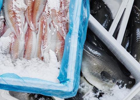 Norcod achieves first cod harvest