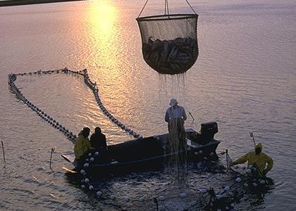 NOAA has announced a new aquaculture initiative