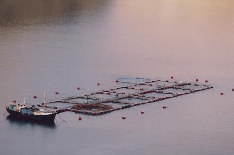 New test to help save Atlantic salmon by university scientists