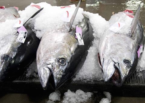 Bigeye Tuna remains overfished in the Western and Central Pacific Ocean Photo: NOAA