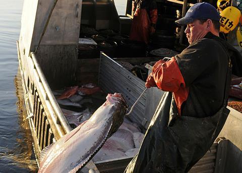 Alaska fishermen gear up for halibut season