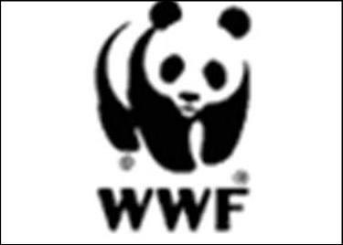 WWF has urged the European Parliament and Member States to step up to the challenge of saving Europe’s seas and fishing industries