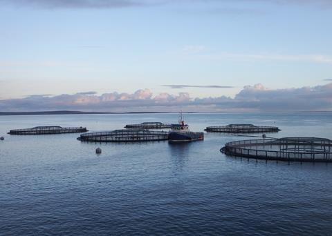 Gael Force group and Fusion Marine to join forces