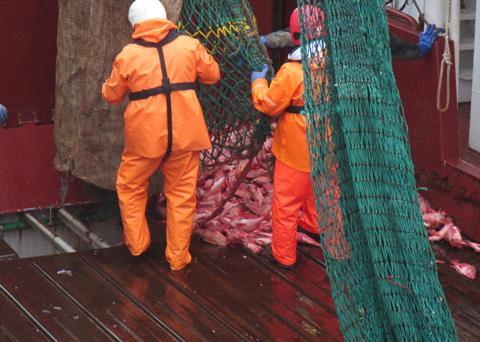 Valuable commercial fish stocks in the North Atlantic could deplete if a more tailored approach to ocean management isn't implemented