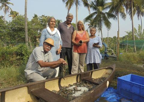 India is experiencing a comeback of black tiger shrimp Photo: MPEDA
