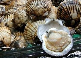 More days at sea have been secured for UK fishermen