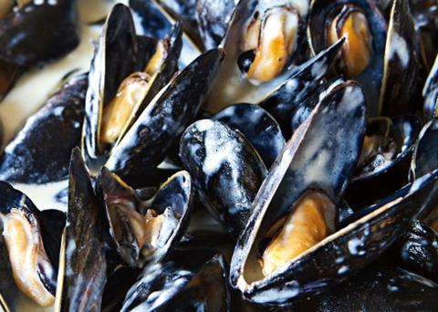 Highly unusual algal blooms this winter have resulted in a severe crisis in the south-western Irish mussel production sector. Credit: IFA