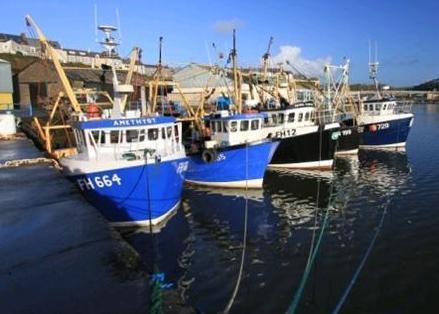 Trawlers at Milford Docks. Credit: Port of Milford Haven