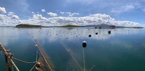 6241dd90ce0f0c3e8836e5f1_#1-Seaweed Farm Clew Bay (Ireland)