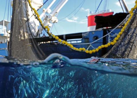 Important steps were taken in 2014 to help ensure the longevity of tuna stocks. Credit: ISSF