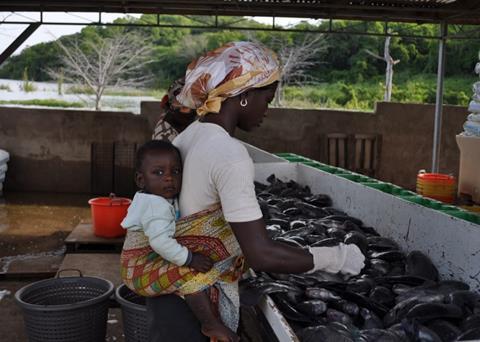 The aim of the initiative is to grow Ghana's aquaculture industry