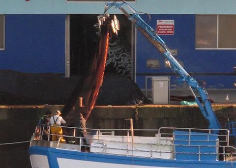 social policies needed