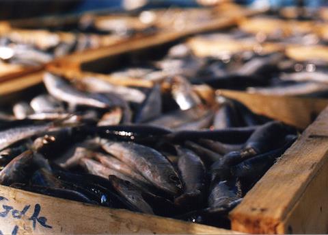 Fisheries conservation and control strengthened