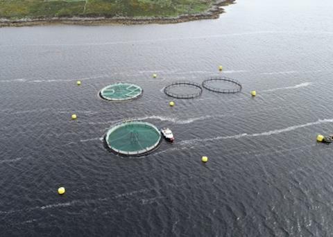 The Marine Institute’s Lehanagh Pool site in Co. Galway, Ireland Photo: Marine Institute