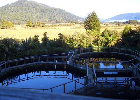 New Zealand aquaculture development will be speeded up by the new rules. Photo C Quigley/MPB