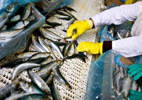 Russia in transition