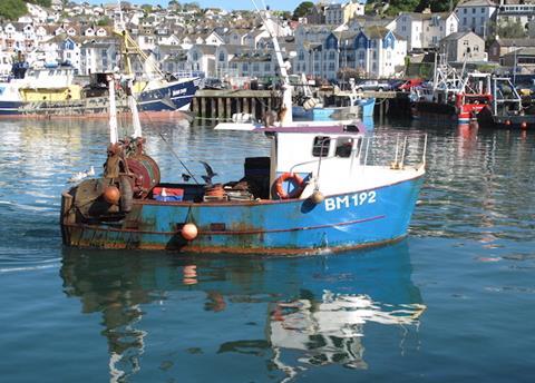 The 2017 catch limits have been set