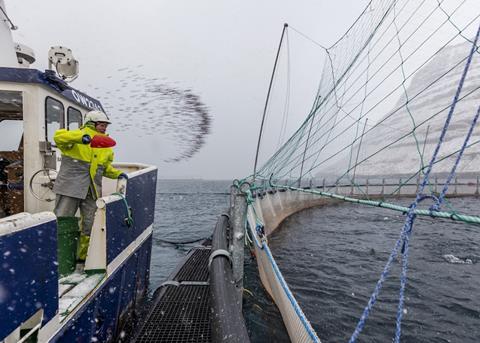 100% of Bakkafrost salmon from the Faroe Islands now has ASC-certification Photo: Bakkafrost