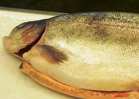 Farmed sea trout and other salmonids from Tasmania help boost Australian aquaculture figures. Photo: S McGowan/MPB