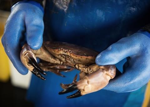 Shellfish is the UK’s most valuable seafood product