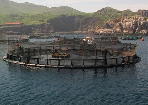 New ASC requirements for farmed fish welfare