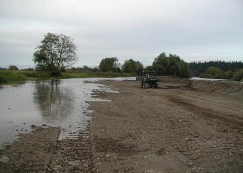 Juvenile salmon are benefitting from the Nisqually river restoration