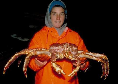 The recommended shelf life for red king crab is five days for boiled and chilled clusters. Photo: NOAA