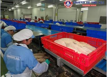 Workers at the Frigrove processing plant