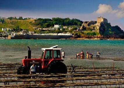 The Jersey Oyster Company has become the first oyster farm in the world to meet the ASC standard for responsible bivalve aquaculture