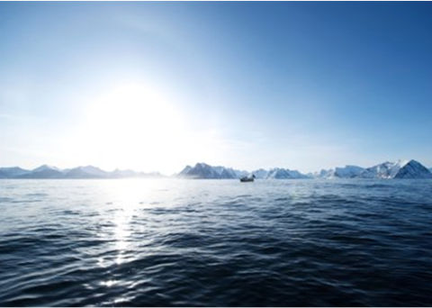 "The main reason for the decrease in value is a lower price for salmon resulting from a fall in demand.  At the same time, we are seeing an increase in sales of frozen cod and haddock," says Egil Ove Sundheim, Market Information Director at the NSEC.