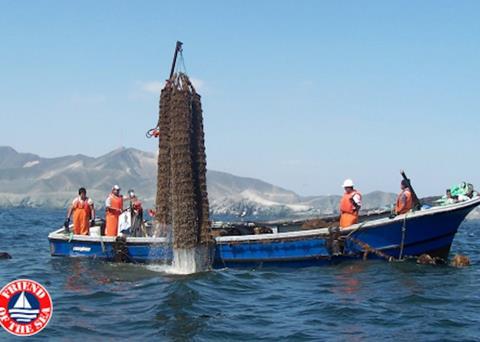 Acuapesca Group has been recertified by Friend of the Sea Photo: Friend of the Sea