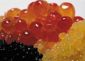 A new report has found ongoing illegal fishing and trade in caviar. Credit: Bill Reese, Caviar Emptor, SeaWeb