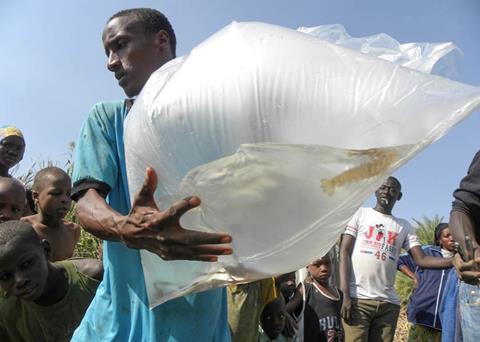 Freshwater prawns may by the solution to stopping the spread of a deadly disease in West Africa