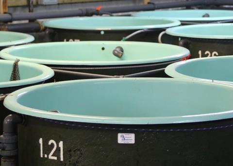 The report into the centre of excellence highlights five key findings