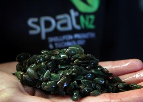Greenshell™ mussels like those that will be bred at the new hatchery