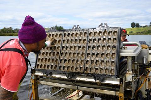 Qyster Opito Bay System