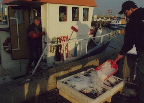 Europêche argues that the closure of the eastern Baltic cod fishery is unnecessary and will damage fishing communities Photo: Europêche