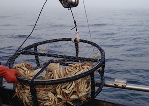 Dungeness crab season delay