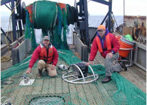 Researchers from NOAA Fisheries and the Oregon Department of Fisheries and Wildlife use sonar to study fishing techniques that improve selectivity and reduce bycatch on a commercial flatfish trawler. Credit: NOAA
