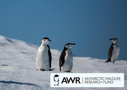 The BioMar Group will present a donation to the Antarctic Wildlife Research Fund (AWR) at Aqua Nor 2015