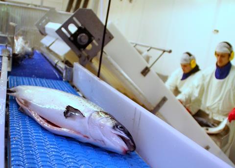 Mowi has acquired salmon farmer, K. Strømmen Lakseoppdrett Photo: Terje Engø