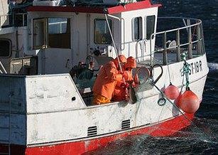 The Researchers will develop a tool that enables participants to carry out a simplified life-cycle assessment of their products. Photo: Frank Gregersen © Nofima