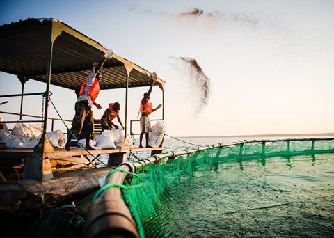 Yalelo specialises in sustainably produced tilapia from Lake Kariba for the domestic market