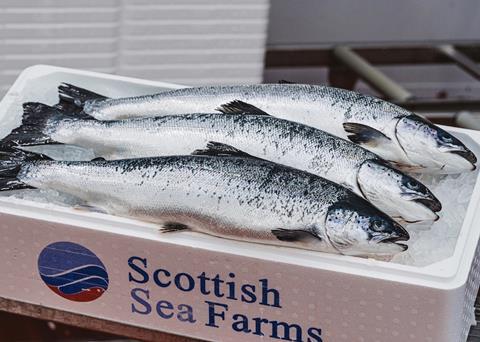 The RAS hatchery at Barcaldine cost £58 million Photo: Scottish Sea Farms
