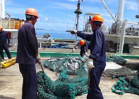 “Wild catch” tuna tonnage expected to double