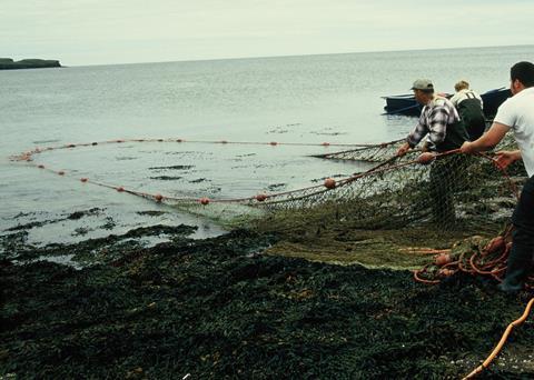 S&TAS says that salmon netting should only be exercised if individual river stocks being exploited are sustainable Photo: AGS