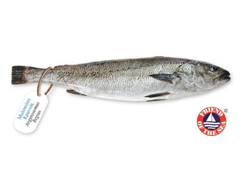 Argosaronikos S.A. has been certified Friend of the Sea