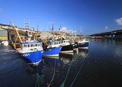 Investment in facilities at Milford Fish Docks will boost prospects for local fishermen