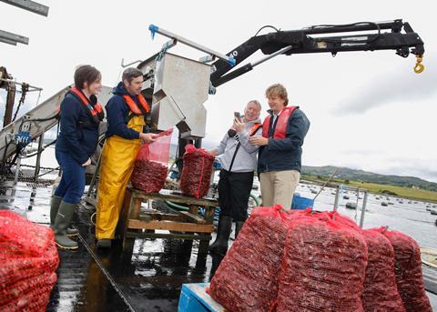 BIM is trialling a new smartphone app to help identify invasive alien species Photo: BIM